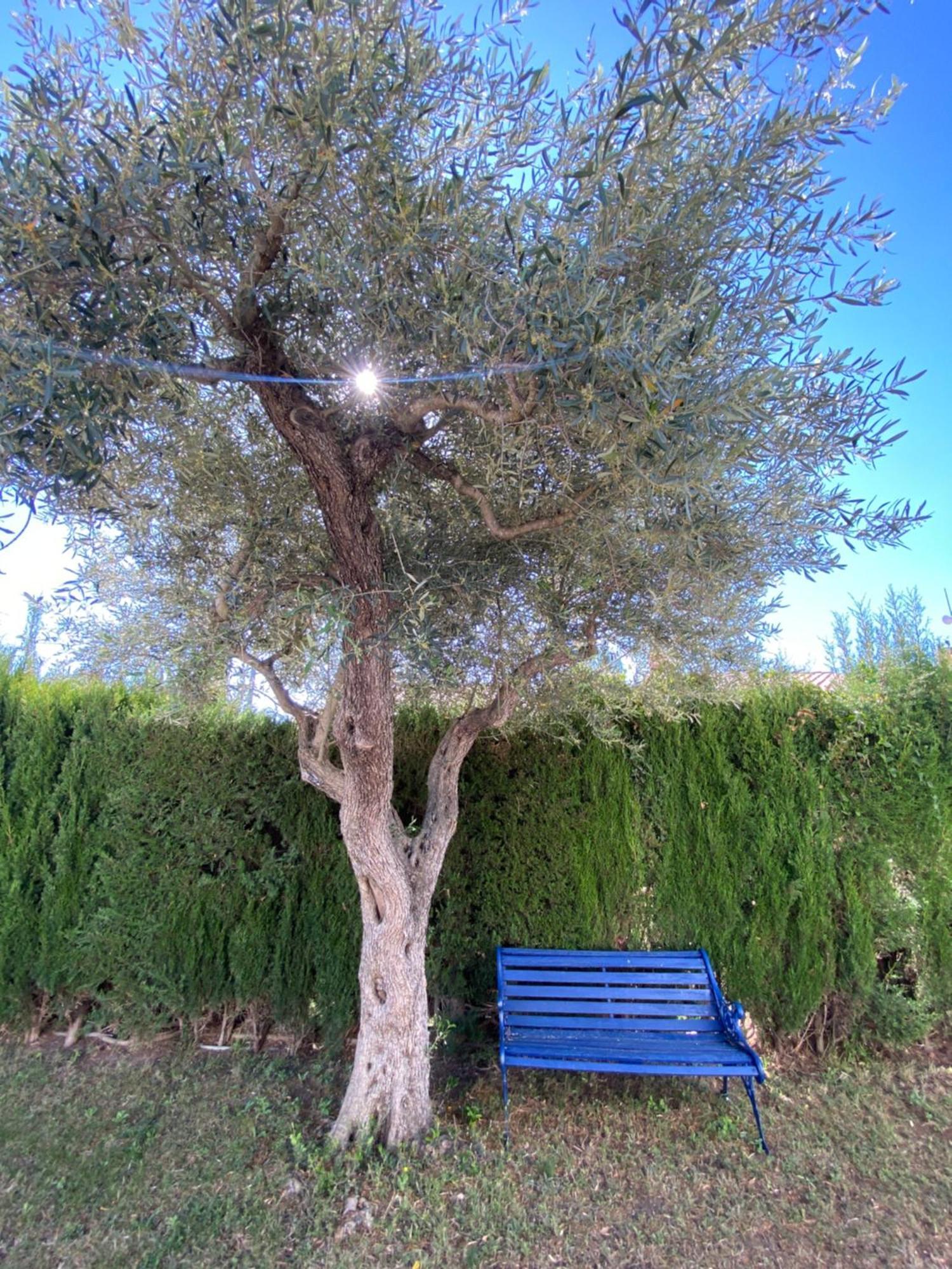 Villa Caramonte, En Costa Dorada Les Tres Cales ภายนอก รูปภาพ